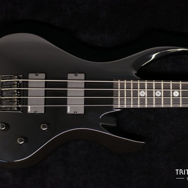 ESP Tom Araya STD 2012