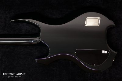 ESP Tom Araya STD 2012 – Bild 5