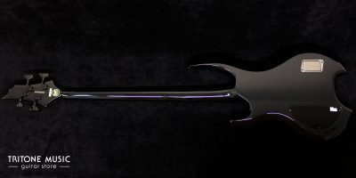 ESP Tom Araya STD 2012 – Bild 4