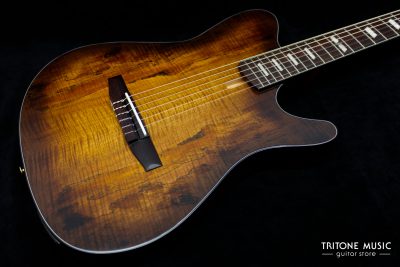 Ibanez FRH20SMN-TCL – Bild 2