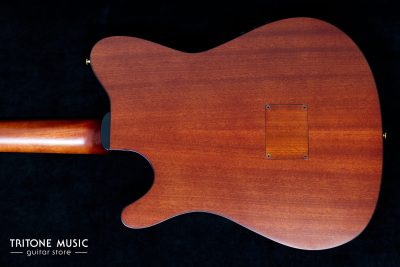Ibanez FRH20SMN-TCL – Bild 5
