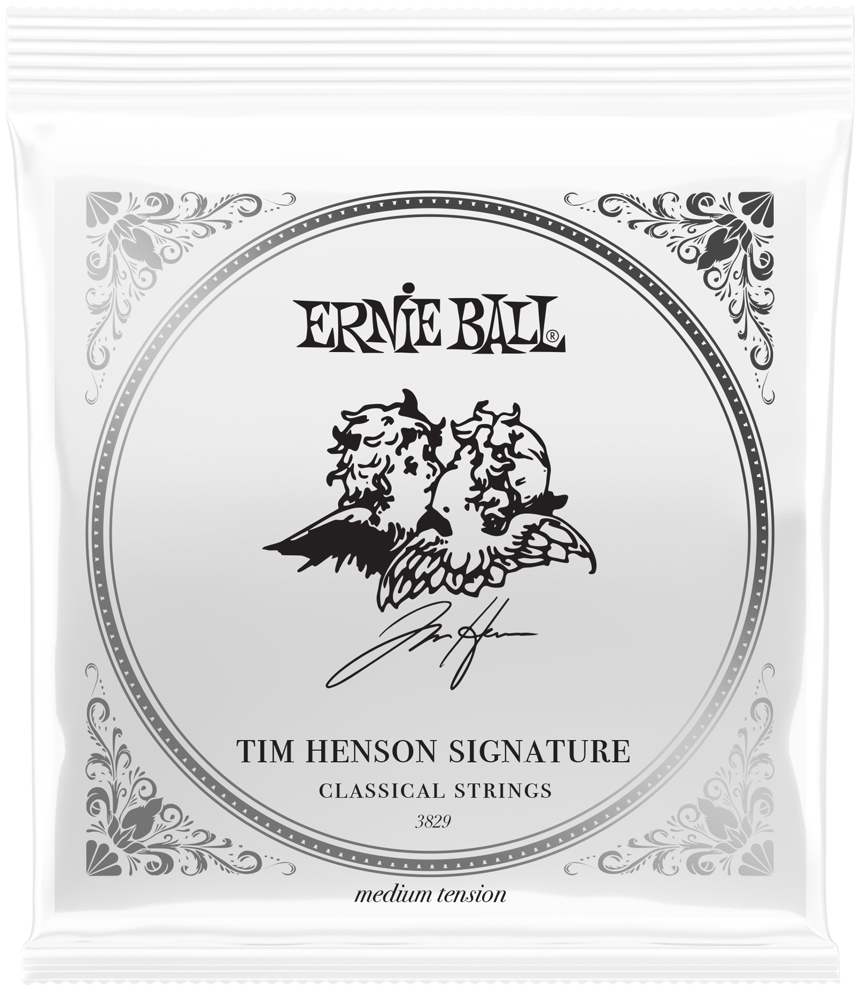 Ibanez TOD10N / Ernie Ball Tim Henson Signature Bundle – Bild 7