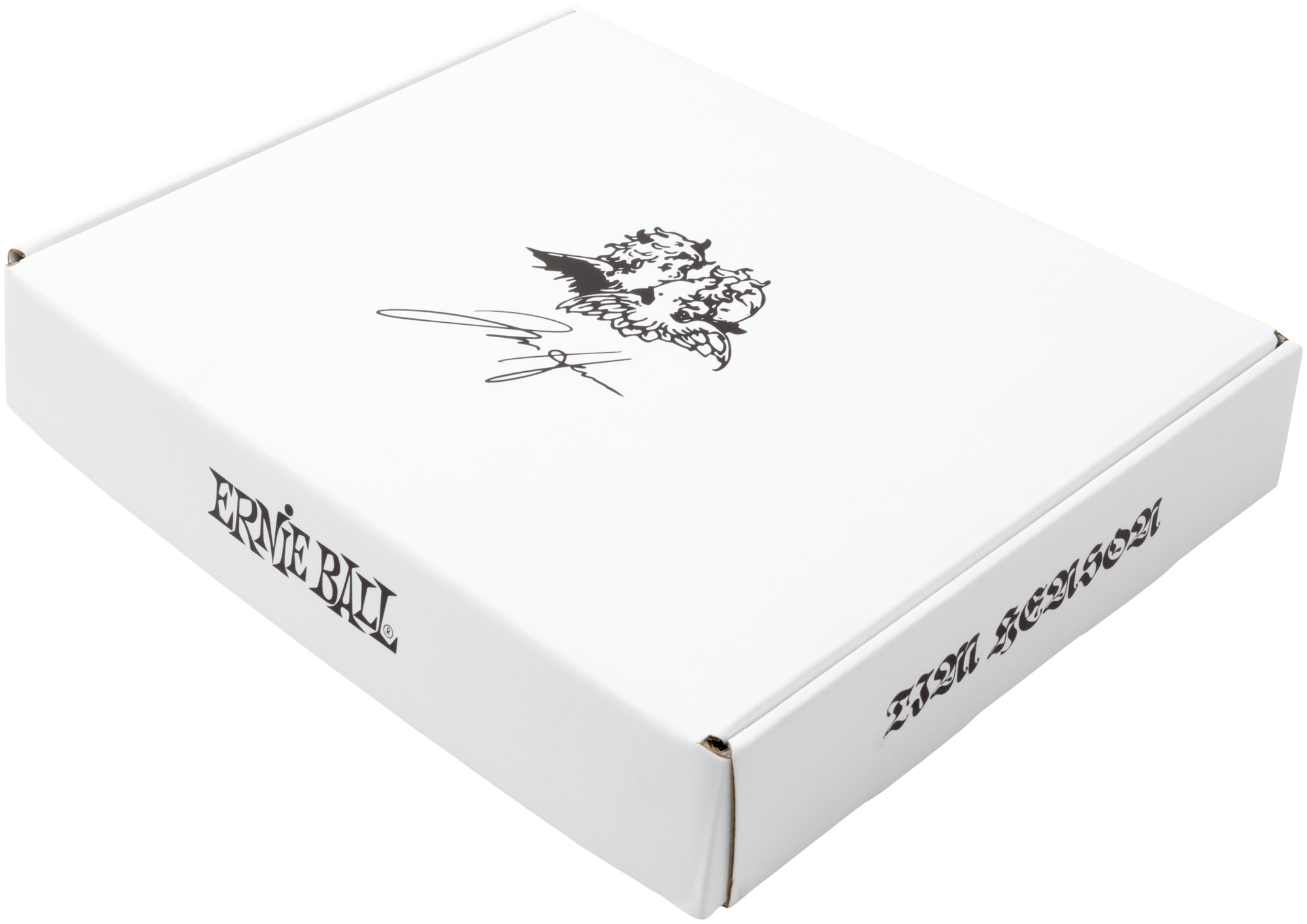 Ibanez TOD10N / Ernie Ball Tim Henson Signature Bundle – Bild 10