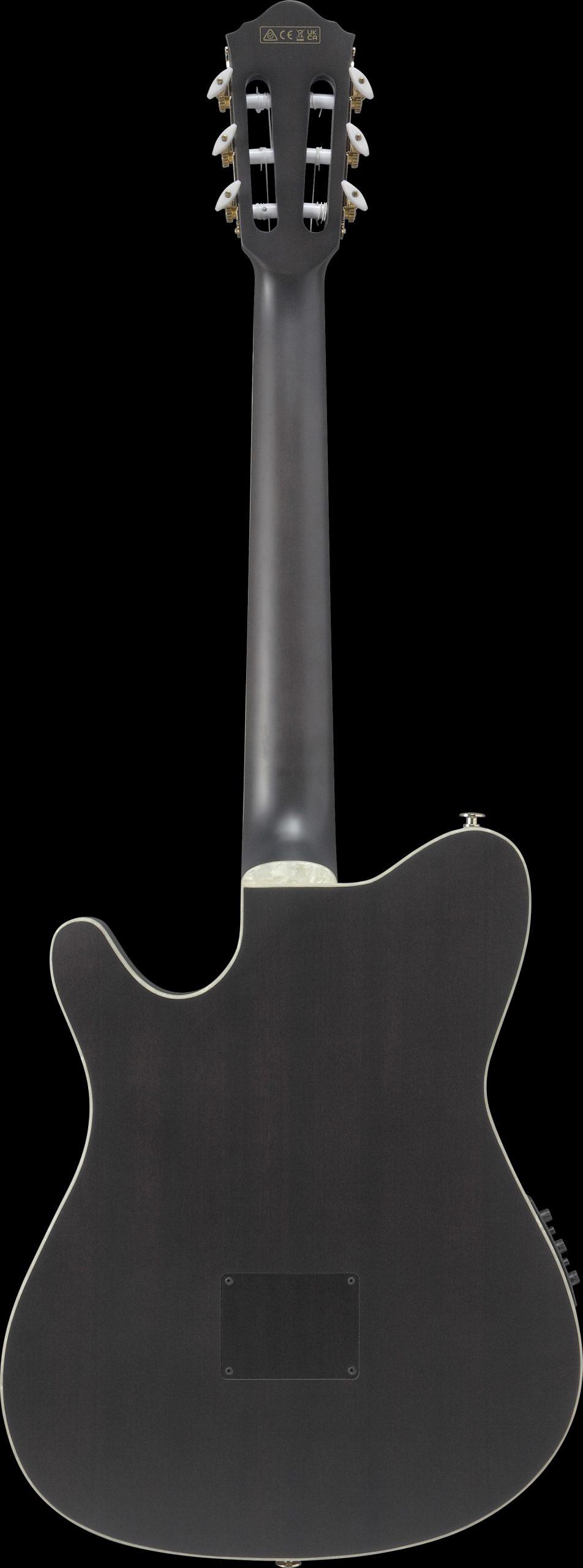 Ibanez TOD10N / Ernie Ball Tim Henson Signature Bundle – Bild 3