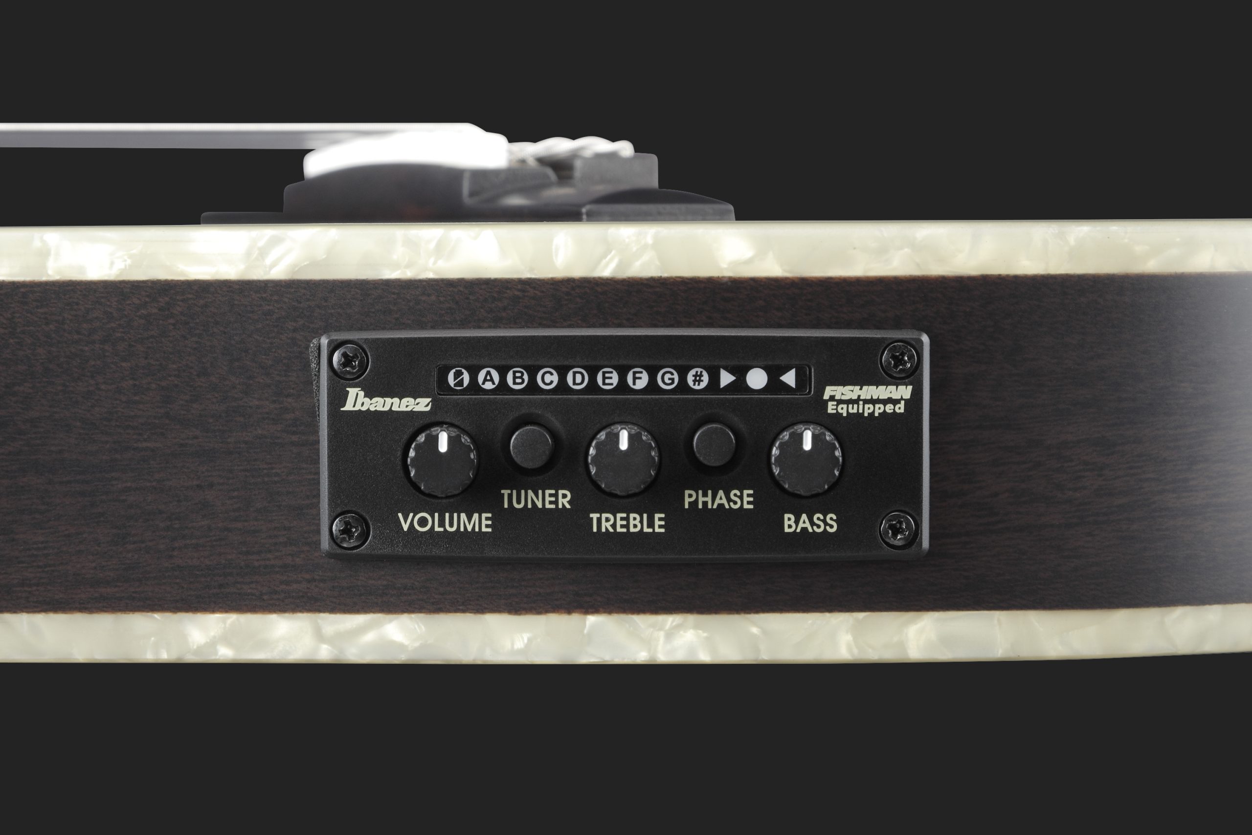 Ibanez TOD10N / Ernie Ball Tim Henson Signature Bundle – Bild 4